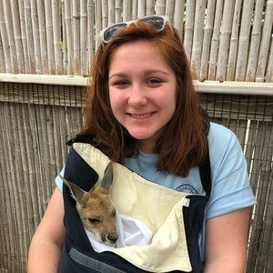 Meet your Posher, Sydney